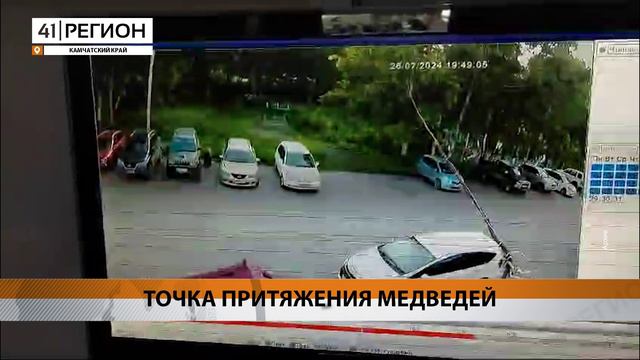 СВАЛКА В ЕЛИЗОВЕ ПЛОХО ПАХНЕТ И ВЛЕЧЁТ МЕДВЕДЕЙ • СПЕЦИАЛЬНЫЙ РЕПОРТАЖ