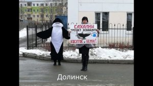 Косаткам свободу! Дальний Восток протестует