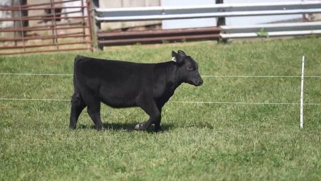 SEO 30 смотреть онлайн