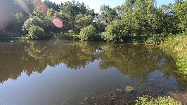 КАРАСЬ НА ПРИЩЕПКУ