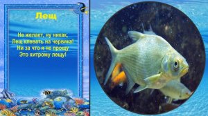 СТИХИ ПРО РЫБ для детей!