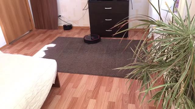 iClebo Arte смотреть онлайн