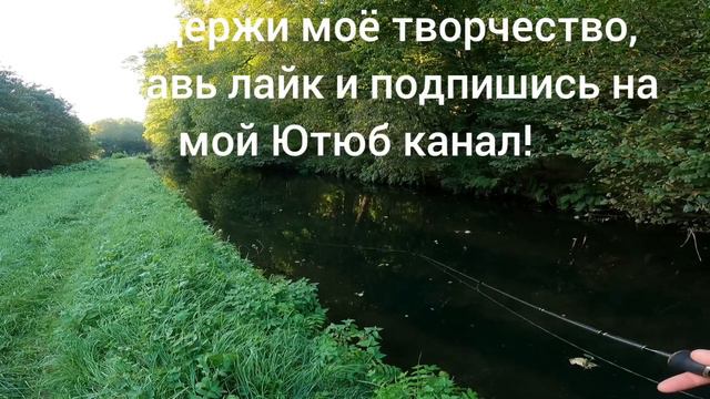 Убойный клёв КРУПНОЙ ФОРЕЛИ, Одна из малых рек Европы! Осень2023