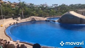 ??????4K / Aqualand, Costa Adeje, Tenerife, SPAIN, Акваленд на Тенерифе Испания??????