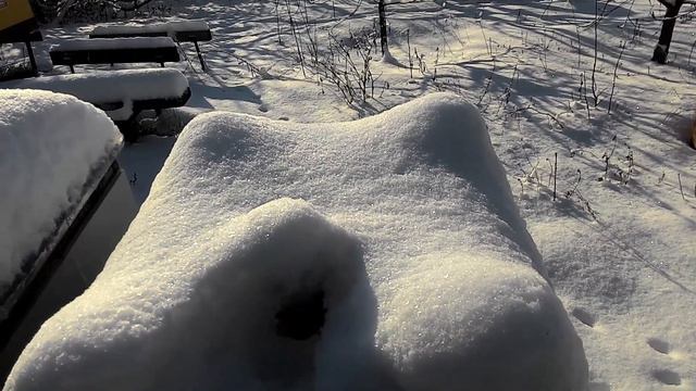 Зимовка пчел 2020. Есть потери. смотреть онлайн