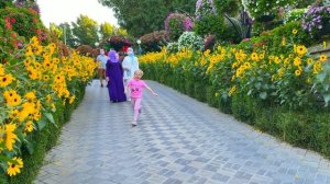 Обзор Dubai Miracle Garden 2022 парк цветов в Дубае. Сад чудес