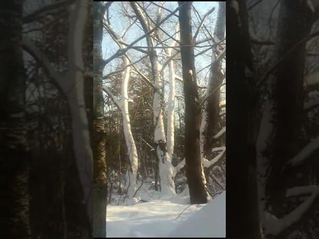 21 января 2024 г. смотреть онлайн