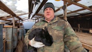 стимуляция половой охоты кроликов НАТУРАЛЬНО! БЕЗОПАСНО! ЭКОЛОГИЧНО