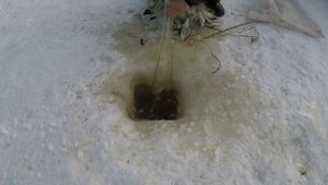 Рыбалка сетью зимой. Ловят не только рыбу!