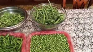 Заморозка стручковой фасоли и зелёного горошка.