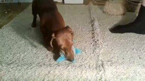 Распаковка посылки от Дарины Sweet♡