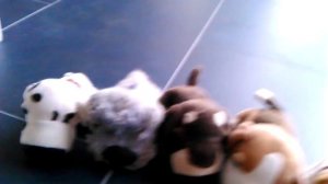 Мои плюшевые собаки