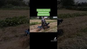 Минитрактор из кпп заз и днепр