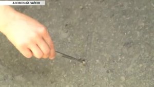 На Дону ученые борются с нашествием каракуртов на населенные пункты