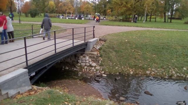 Куракина Дача смотреть онлайн