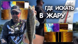 ЖАРААА + 32!!! КАК найти СУДАКА? РАЗБОР скриншотов ЭХОЛОТА LOWRANCE HDS LIVE