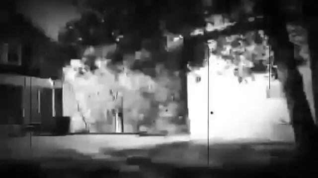 9Do9Not9 смотреть онлайн