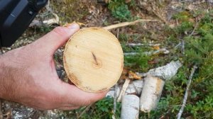 Аккумуляторная пила Husqvarna 120i