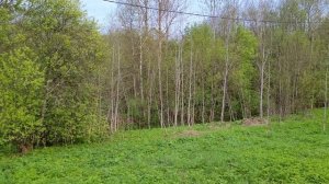 Простая проводка в каркаснике. Каркасная баня.