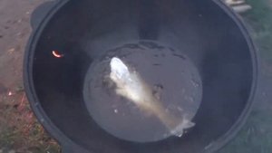 Сибас во фритюре в казане