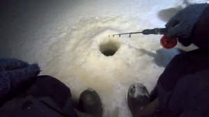 Рыбалка налим. Налим на рыбинском водохранилище. Ночная рыбалка на налима.
