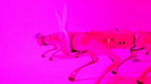 Поздравление с Новым годом от Фотостудии РТУ МИРЭА