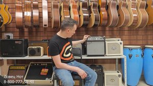 Belcat POP15B - обзор комбоусилителя