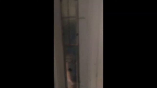 Профиль Шуко 70мм.
