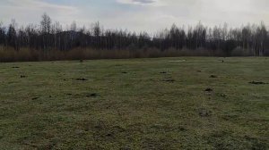 Продажа семи смежных земельных участков, площадь 15 и 20 сот. по адресу Горный Алтай, с. Горбуново