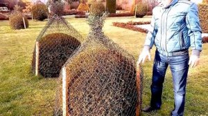 Как сохранить формованный сад зимой Николай Дементьев