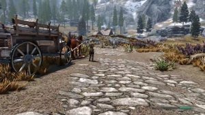 Skyrim : Гайд - Легкий Старт - Воин -