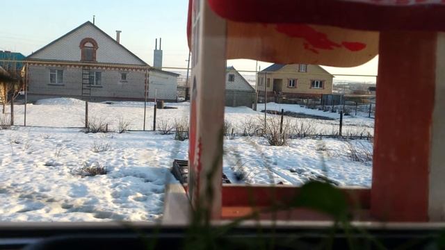 Синичка на кормушке у окна. смотреть онлайн