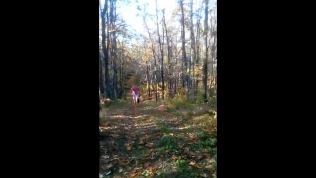 шаговая имитация лыжников