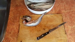 Готовлю кошачью рыбу