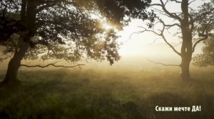 Поэзия – как состояние души. Эдуард Асадов "Ты даже не знаешь"