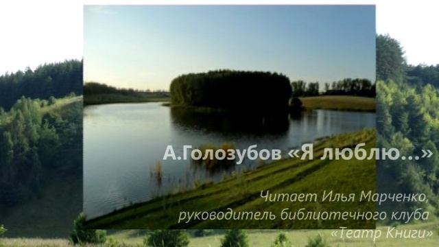 Краеведческий час "Встреча с писателем". Александр Федорович Голозубов