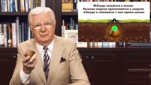 В вас заключён потенциал величия: закон притяжения и визуализация. Дуб, жёлудь и ты ✧ Боб Проктор