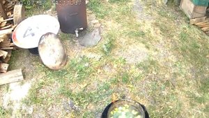 Кормим кур экономно. Овощная каша