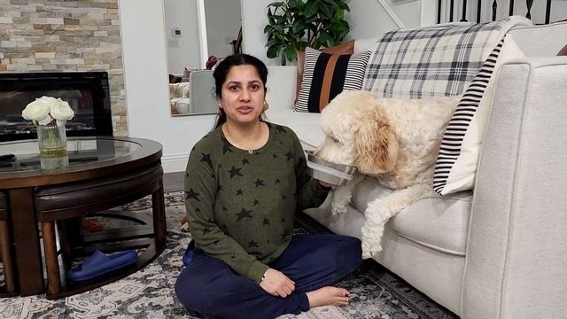 Internet pe Sabke Saamne SORRY Bolta Hun | I am SORRY смотреть онлайн