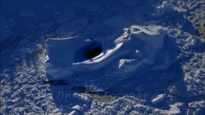 Этот день сотворил Господь (Христианская песня) Церковь "Новая Жизнь" г. Бровары