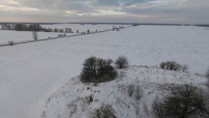 Подвиг Гастелло) Сгорела никелевая лента в аккумуляторной сборке 21700 Molicell 42A