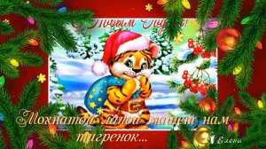 Мохнатой лапой машет нам ТИГРЕНОК *