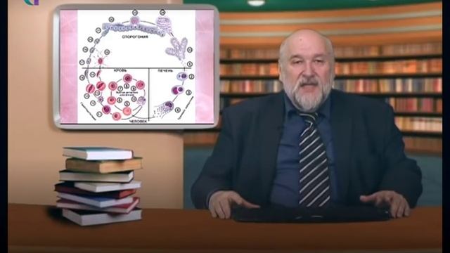 Жизненный цикл малярийного плазмодия. Вот почему с ним так трудно бороться смотреть онлайн