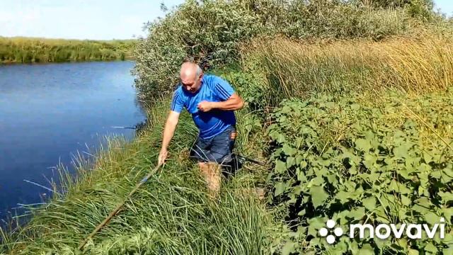 Рыбалка в пойме,август 2022. смотреть онлайн