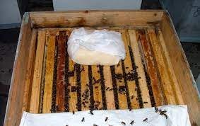 Я делаю канди на инвертированном сиропе вместо меда.mp4