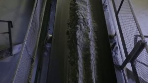 Фосфорит Кингисепп