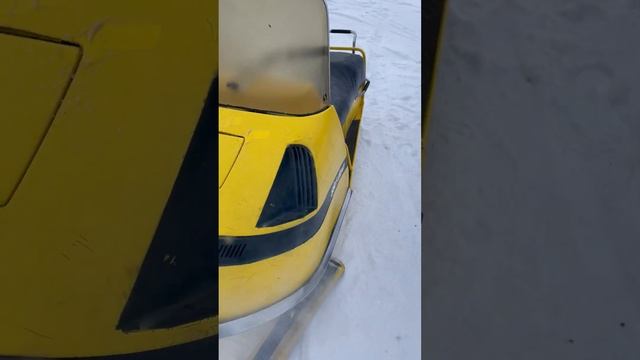 1969 Ski-Doo Olympic 399