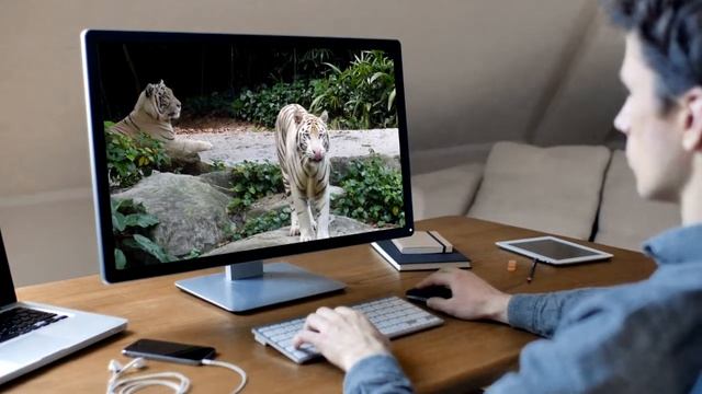 Привязка движения в программе After Effects смотреть онлайн