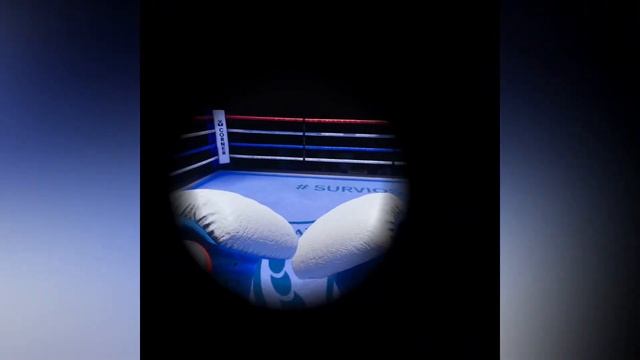 Thrill of the Fight vs Creed Rise To Glory Which Is The VR Boxing Champion?! смотреть онлайн