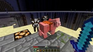 Minecraft Command Block | Item & Mob Spawners